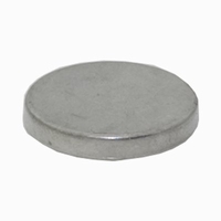 MAGNEET SUPER STERK 12 X 3 MM
