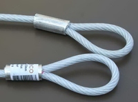 STAALKABEL MET OOG 10,00 MTR