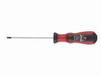 SCHROEVENDRAAIER TORX T 15 MET GAT